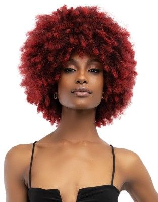 Kane Premium Synthetic Natural Afro Wig By Janet Collection