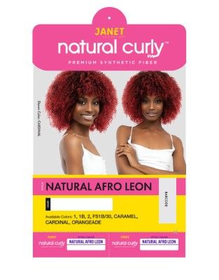 Leon Premium Synthetic Natural Afro Wig By Janet Collection