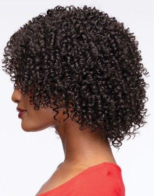 Oren Premium Synthetic Natural Afro Wig By Janet Collection