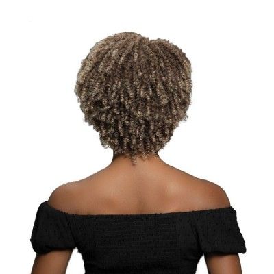 Ples Premium Synthetic Natural Afro Wig By Janet Collection