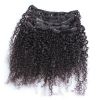 rio Afro Kinky ocean 22 clip in extension, Afro Kinky 22 clip in extension, rio Afro Kinky clip in extension, Afro Kinky clip in extension, OneBeautyWorld, Afro, Kinky, 22, Inch, Rio, 100, Remy, Virgin, Human, Hair, Clip, in, Extension