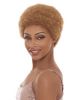 rosey afro wig, synthetic hair wig, janet collection wigs, afro styles, afro style wigs, OneBeautyWorld,  Afro, Rosey, Synthetic, Hair, Full, Wig, Janet, Collection,