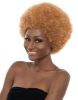 janet collection afro rosey ii wig, rosey afro wig, synthetic hair wig, janet collection wigs, afro styles, afro style wigs, OneBeautyWorld,  Afro, Rosey, II, Synthetic, Hair, Full, Wig, Janet, Collection,