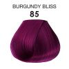 Adore Burgundy Bliss (85) – ArKay Beauty Supply