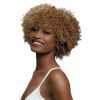 joanie wig, janet mybelle wigs, janet synthetic wigs, synthetic janet hair, MyBelle Hair, OneBeautyWorld, Joanie, MyBelle, Premium, Synthetic, Hair, Wig, By, Janet, Collection,