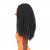  janet collection kinky 22 wig