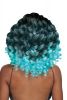 Kongo curl braid, Kongo cur crochet braid, Kongo cur crochet hair, v8910 crochet hair, crochet braid v8910, OneBeautyWorld, V8910,Kongo curl, Crochet, Braid, Zury, Sis,